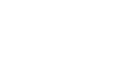 top desarrollador